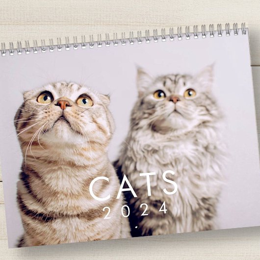 Modern Cute Funny Pet Kitten Cat Photos Kalender