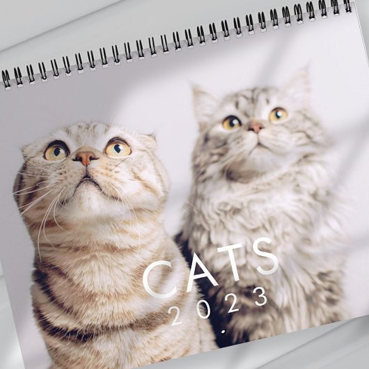 Modern Cute Funny Pet Kitten Cat Photos Kalender