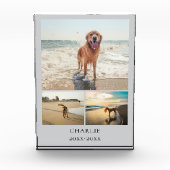 Modern Dog Keepsake Gray Personalized Pet Collage Fotoblokken (Voorkant)