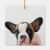 Modern Dog Photo | Dog Quote Keramisch Ornament (Achterkant)