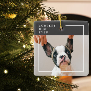 Modern Dog Photo Koelste hond ooit Keramisch Ornament