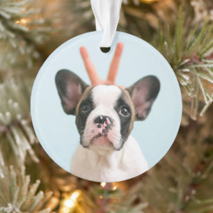 Modern Dog Photo Vrolijk kerstfeest Ornament