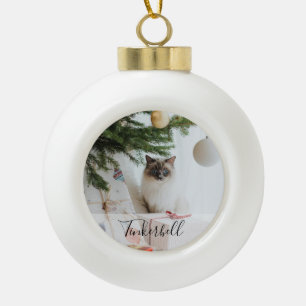 Modern Eenvoudige Klassieker met Naam en Huisdier Keramische Bal Ornament