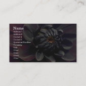 Modern Floral Black Dahlia Flower Visitekaartje (Achterkant)