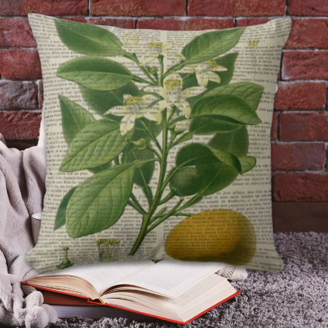 modern  frans land - botanische kunst oranje kussen (modern vintage french country botanical art orange throw pillow)