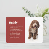 Modern Funny Pet Photo Birthday Invitation Kaart (Staand voorkant)
