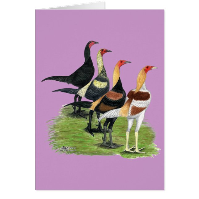 Modern Game Quartet (Voorkant)