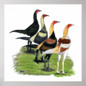 Modern Game Quartet Poster (Voorkant)