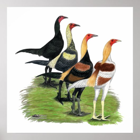 Modern Game Quartet Poster (Voorkant)