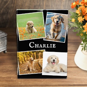 Modern halsbandcollage voor honden als aandenken fotoblokken