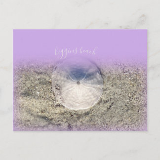 Modern Higgins Beach Maine Sand Dollar Paarse Ombr Briefkaart