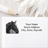 Modern Horse Black and White Equestrian Etiket (Insitu)
