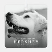 Modern huisdier-herdenkingsfoto kerstcadeau metalen ornament (Achterkant)