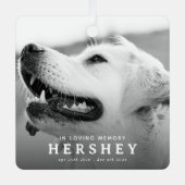 Modern huisdier-herdenkingsfoto kerstcadeau metalen ornament (Voorkant)