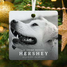 Modern huisdier-herdenkingsfoto kerstcadeau