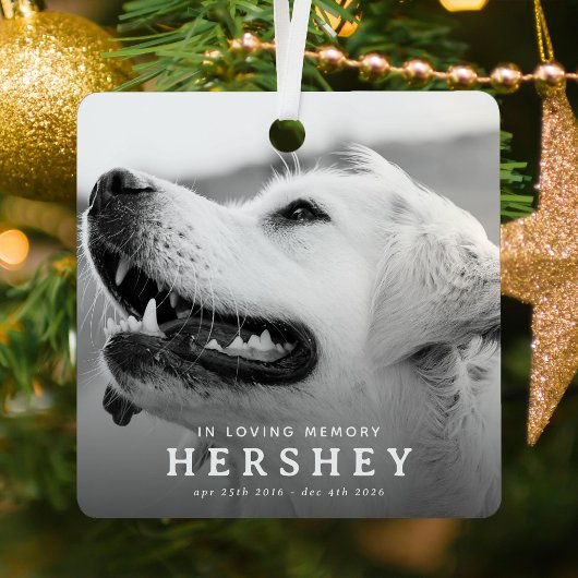 Modern huisdier-herdenkingsfoto kerstcadeau metalen ornament