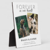 Modern huisdier-herdenkingssteen fotoplaat (Zijkant)