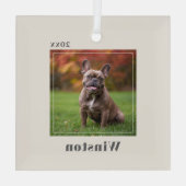 Modern Ivory Custom Pet Name Photo Glas Ornament (Achterkant)