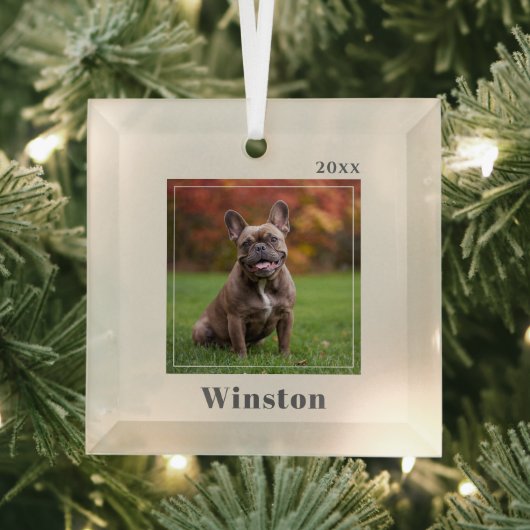 Modern Ivory Custom Pet Name Photo Glas Ornament (Insitu)
