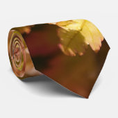 Modern Japans Maple Stropdas (Opgerold)