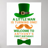 Modern Leprechaun St. Patrick's Any Age Birthday Poster (Voorkant)