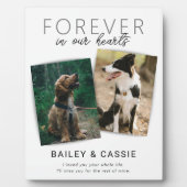 Modern Loving Memory Pet Memorial Fotoplaat (Voorkant)