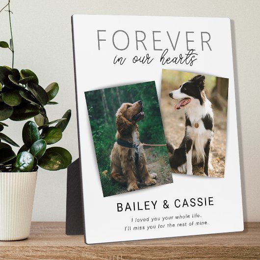 Modern Loving Memory Pet Memorial Fotoplaat