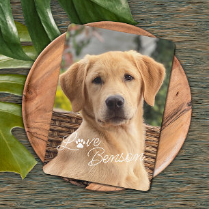 Modern Mijn Beste Vriend Afbeelding Liefde Pauw Pr Kaart