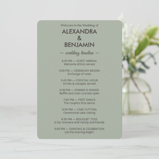 Modern Minimalist Wedding | Sage Green Timeless  Programma (Staand voorkant)