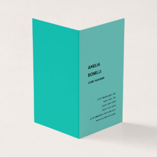 Modern minimalistisch professioneel platenblauw visitekaartjes