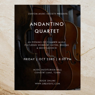 Modern Music Concert Photo Template Poster