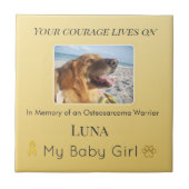 Modern Osteosarcoma Pet Tribute Tegeltje (Voorkant)