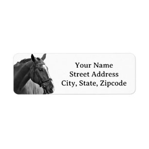 Modern Paard Zwart en Wit Equestrian Etiket