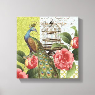 Modern Peacock stretched canvas Afdruk