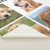 Modern Pet 4 Afbeelding Collage personaliseert Hon Sherpa Deken (3/4)