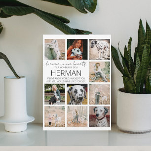 Modern Pet Memorial Foto Collage Plaque Fotoplaat