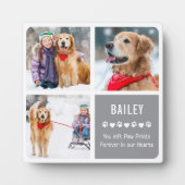 Modern Pet Memorial Photo Collage Fotoplaat (Voorkant)
