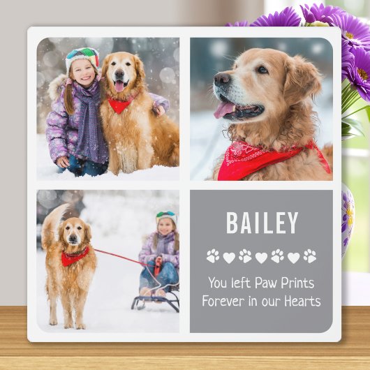 Modern Pet Memorial Photo Collage Fotoplaat