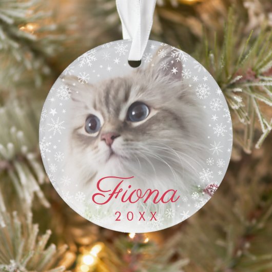 Modern Pet Photo Paw Print and Snowflake Lijst Ornament (Boom)
