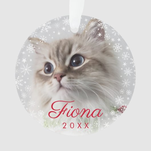 Modern Pet Photo Paw Print and Snowflake Lijst Ornament (voorkant)