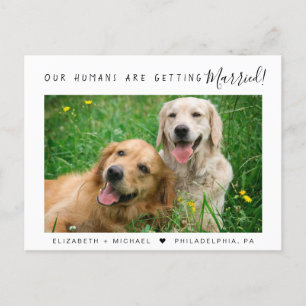 Modern Pet Photo Verloving Aankondigingskaart