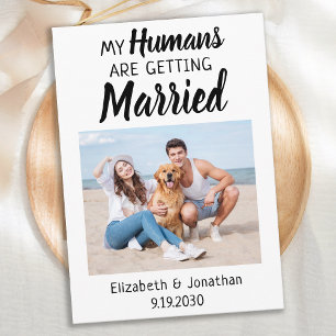 Modern Photo Dog Wedding Save The Date