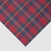 Modern Plaid Christmas Gift  Tissuepapier (Detail)