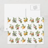 modern plantaardig fruit briefkaart (Voorkant / Achterkant)