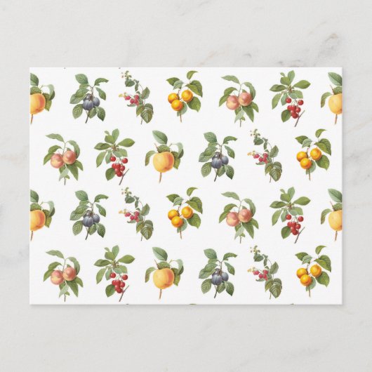 modern plantaardig fruit briefkaart (Voorkant)