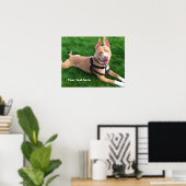 Modern poster met pit-hond op groen gras (Thuiskantoor)