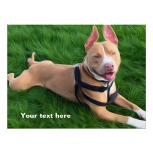 Modern poster met pit-hond op groen gras perfect poster