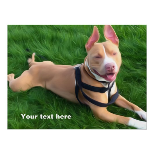 Modern poster met pit-hond op groen gras perfect poster (Voorkant)
