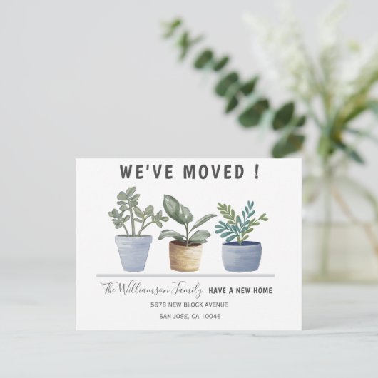 Modern Potted Planten We hebben onze aankondiging  (Staand voorkant)