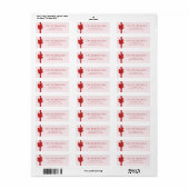 Modern Ribbon Bow Wrapped Christmas Return Address Etiket (Full Sheet)